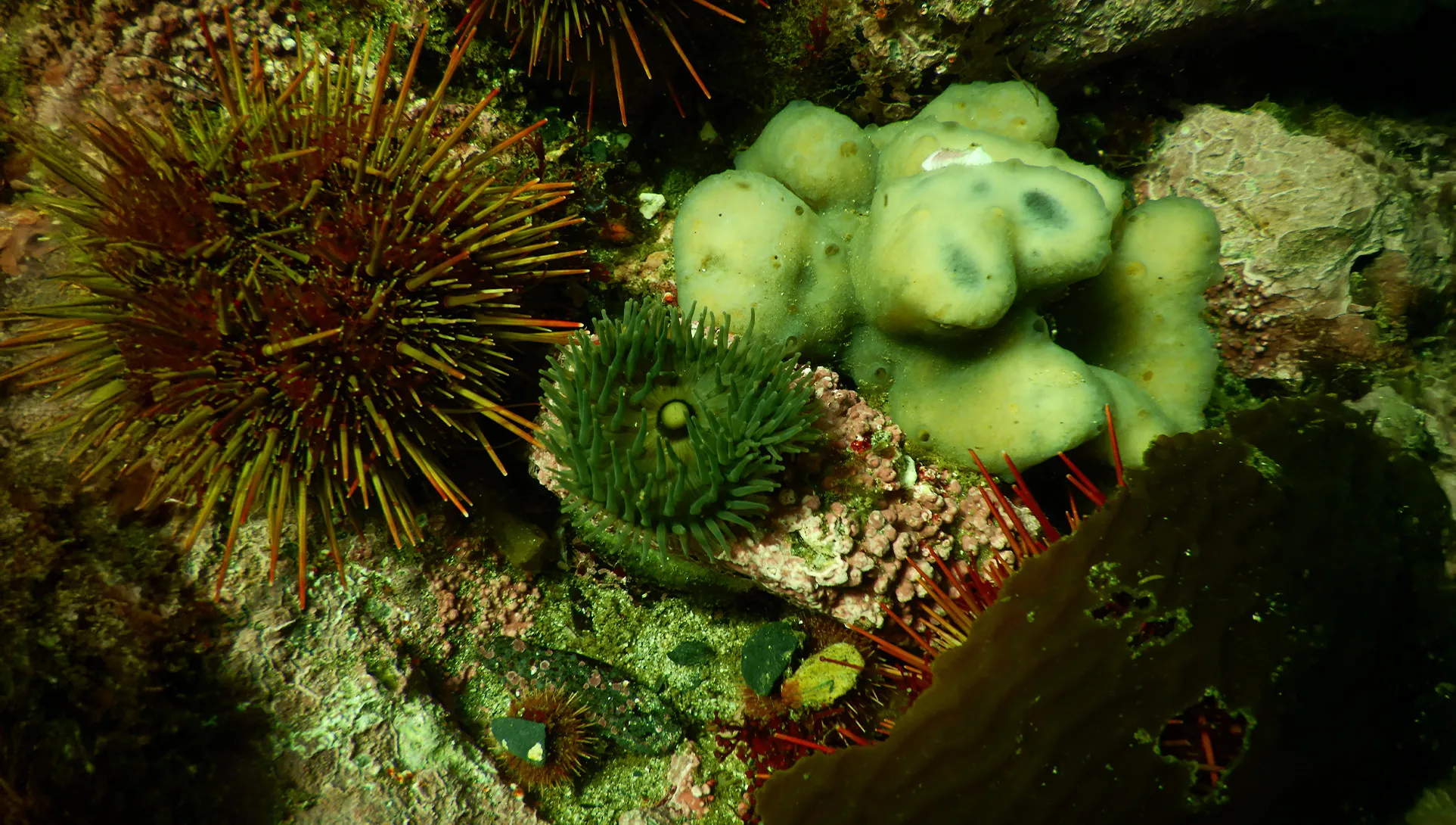 Por el Mar