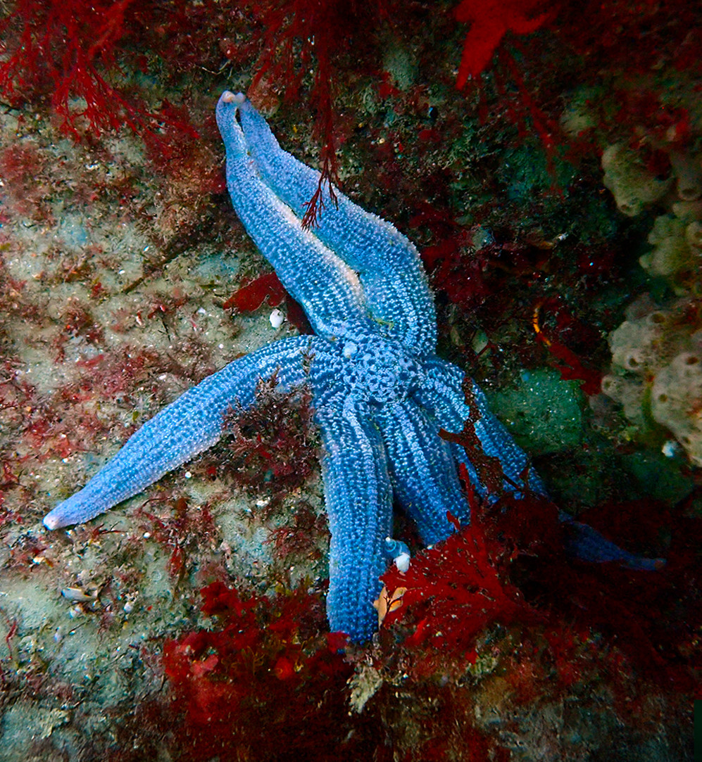 Por el Mar